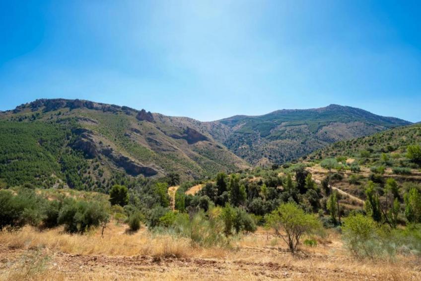 Casa la Albaida - foto 20