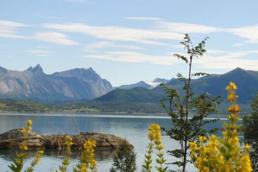 Meløy Naturopplevelser Tømmervik - foto 15