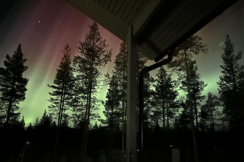 Villa velho - foto 30