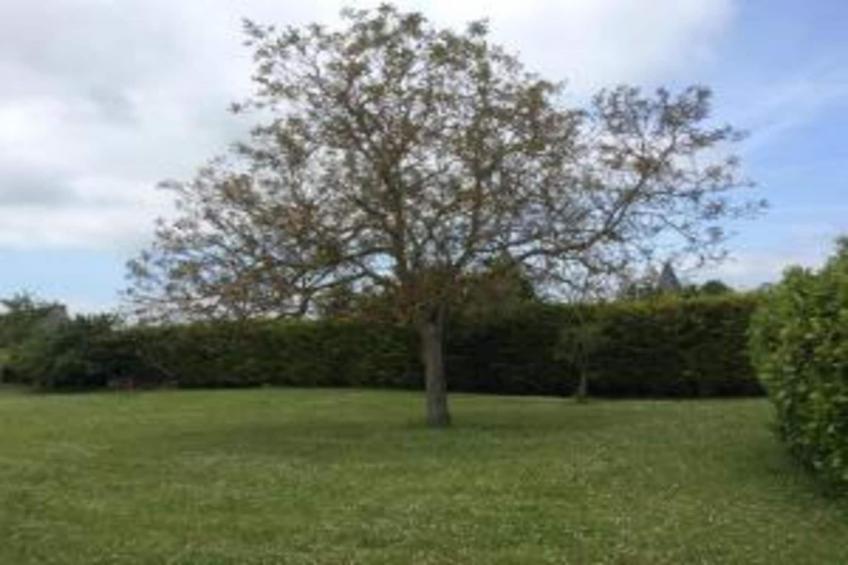 Maison de vacances - CHILLEURS-AUX-BOIS - foto 38