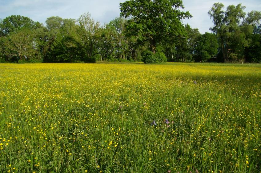 Betttis Bungalow - foto 25