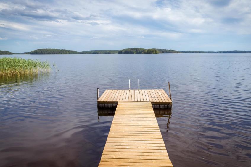 Vapunkärki - foto 44