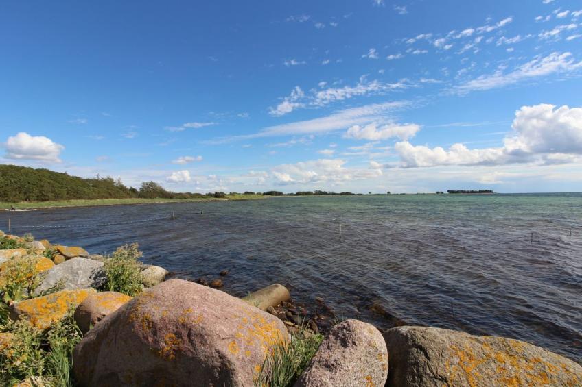 "Wrage" - 500m from the sea in Funen - foto 5