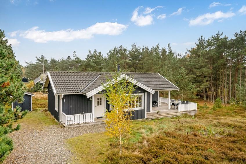 "Syrine" - 300m from the sea in NE Jutland - foto 13
