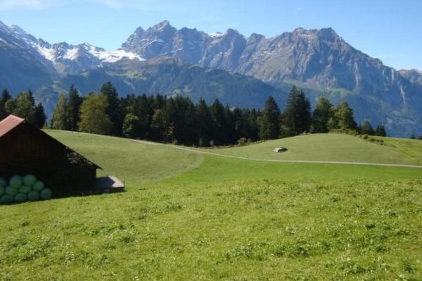 Ferien im grünen links - foto 3