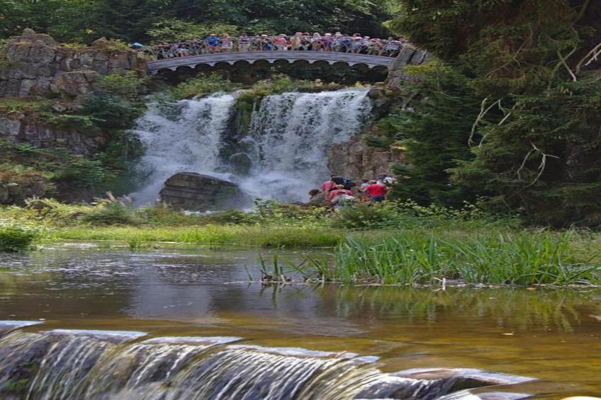 Am Ferienhof - foto 19