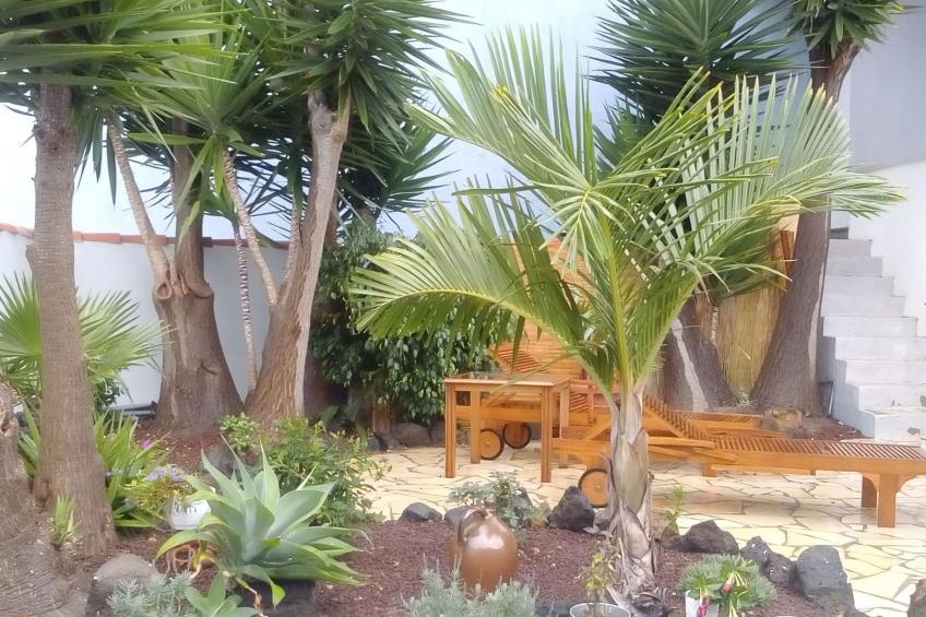 Studio mit Terrasse - foto 10