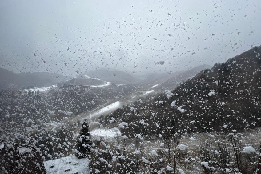 House Betulle by Holiday World - foto 11