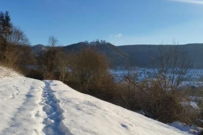 Ferienwohng. Susanne - foto 21