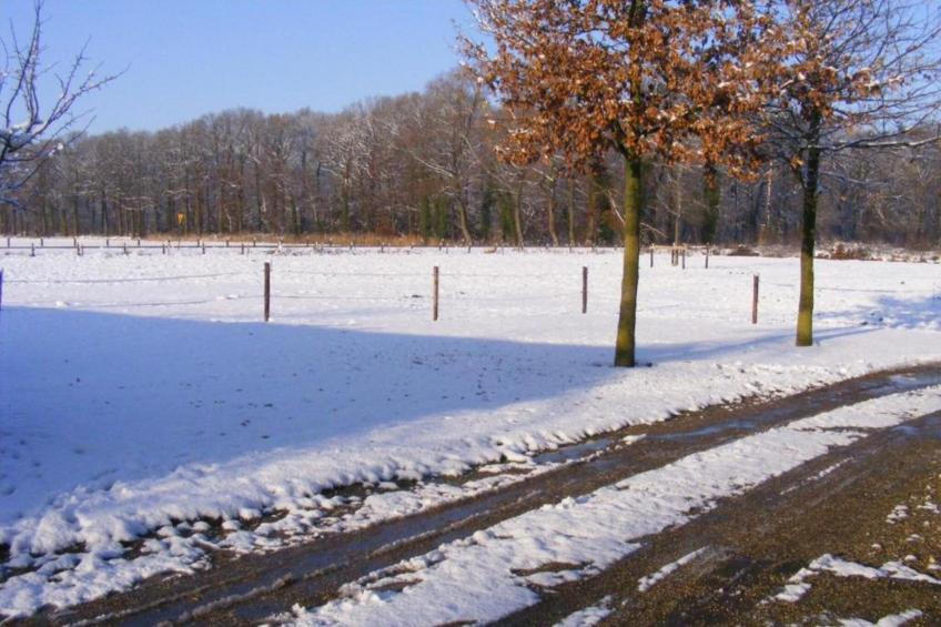 Huus in 't Hagt - foto 34