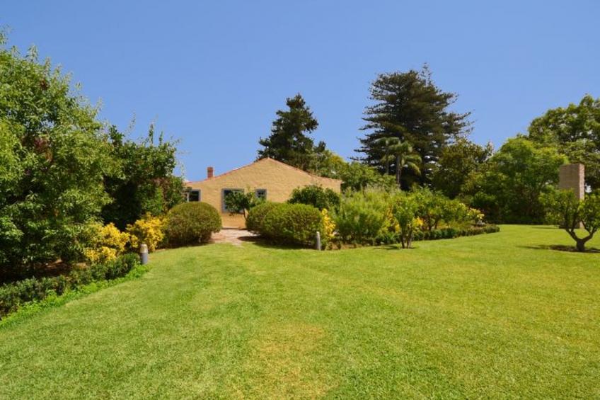 MADROÑAL. M08GC - foto 10