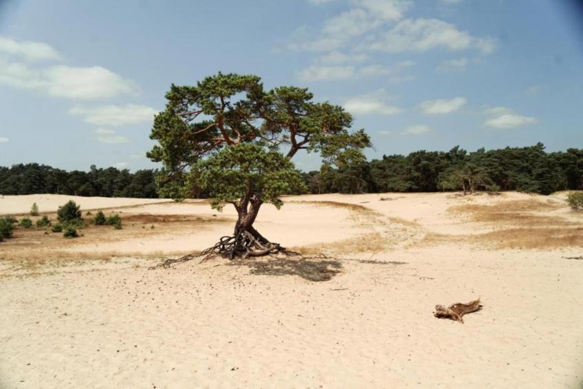 Weidse Blik - foto 35