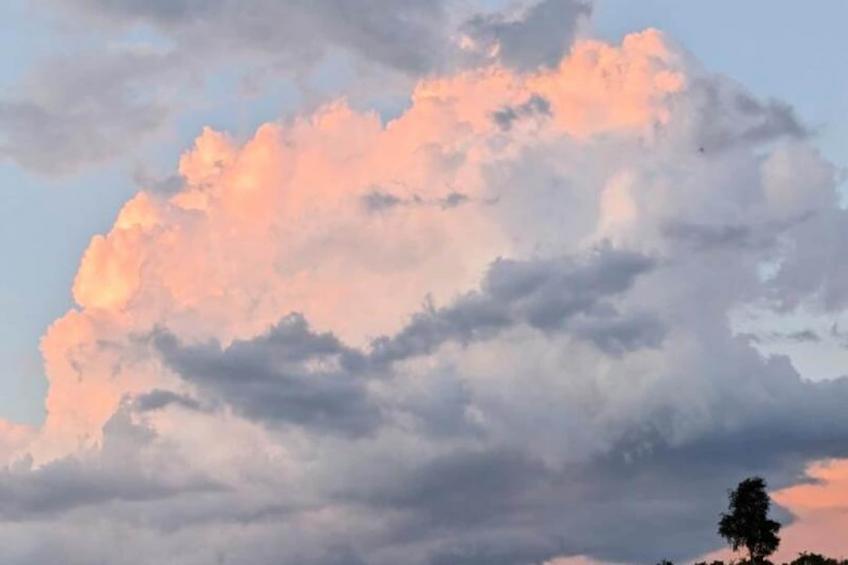 Gîte La cabane de romane - foto 18