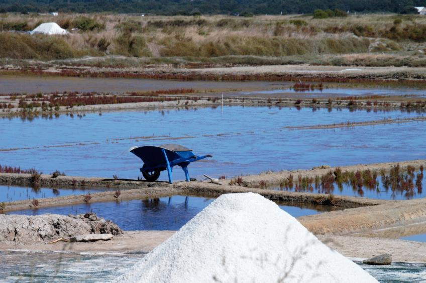 für 7 Personen - foto 33