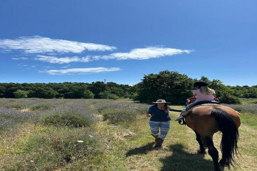 Apartment Mirna with Pool and Lovely Garden - foto 37