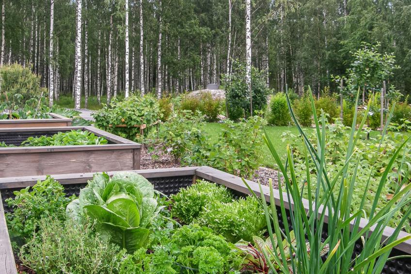 Paasirinne a - foto 31