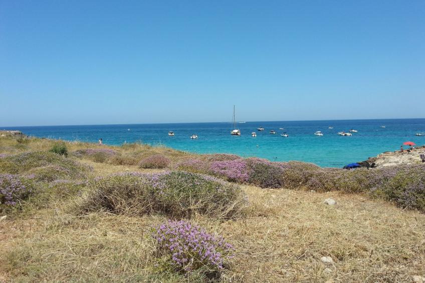 Einladende, kürzlich restaurierte und komfortable Ferienwohnung, im Altstadtzen - foto 25