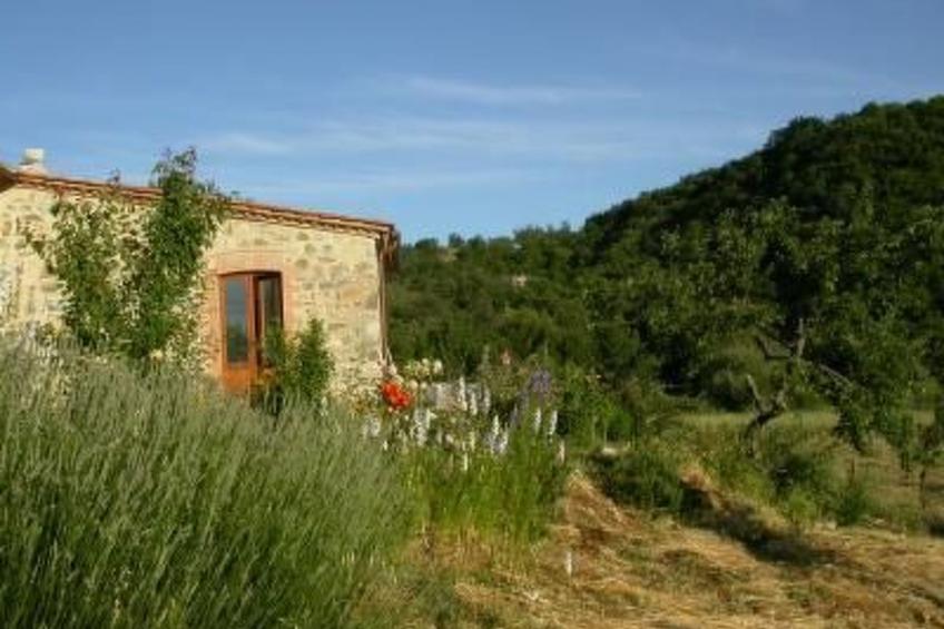 Casa Cardeta in Arcidosso - foto 6