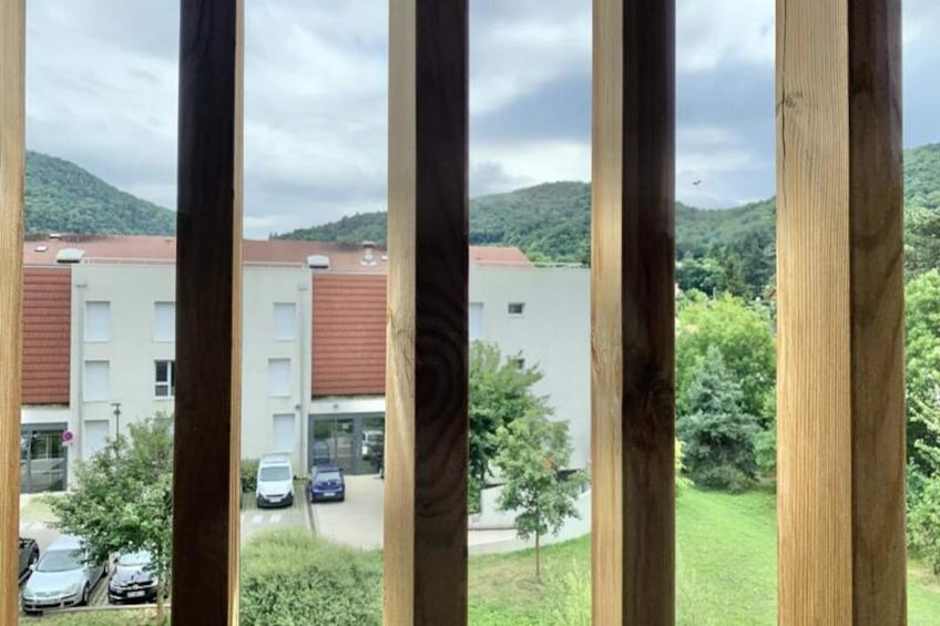 Méditation à Eybens | Terrasse | Wifi - foto 22