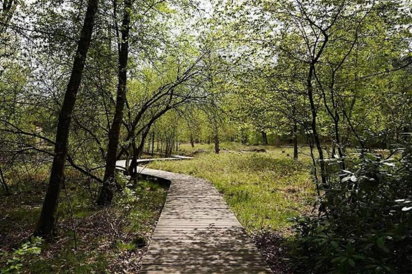 Bungalowpark Hoenderloo - foto 32