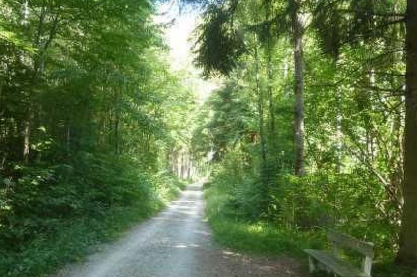 Haus mit  freier Fahrradnutzung und kleinem Boot - foto 22