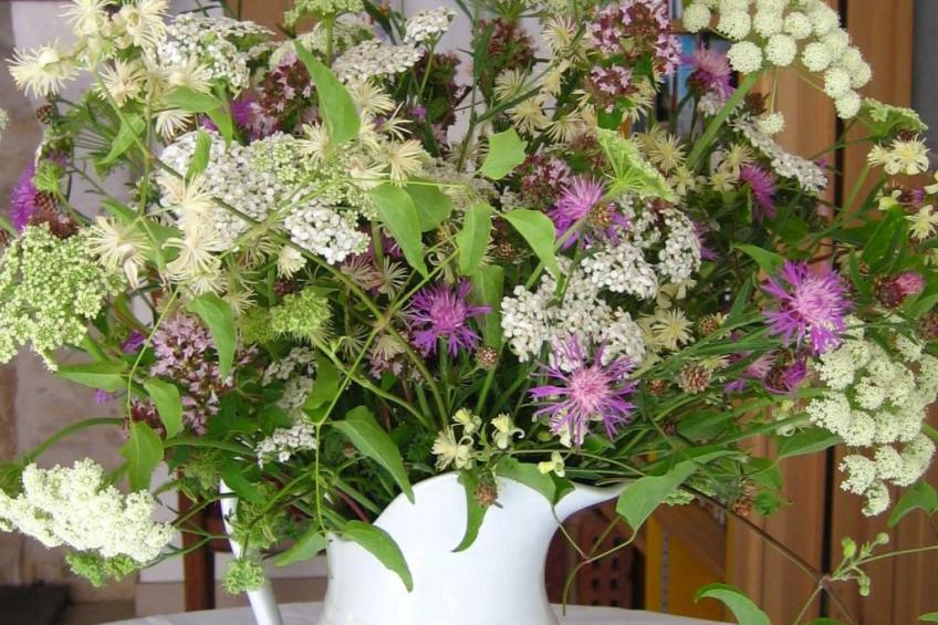 Bévau: Frankreich erleben mit Bio-Frühstück und täglichem Putz-Service - foto 13