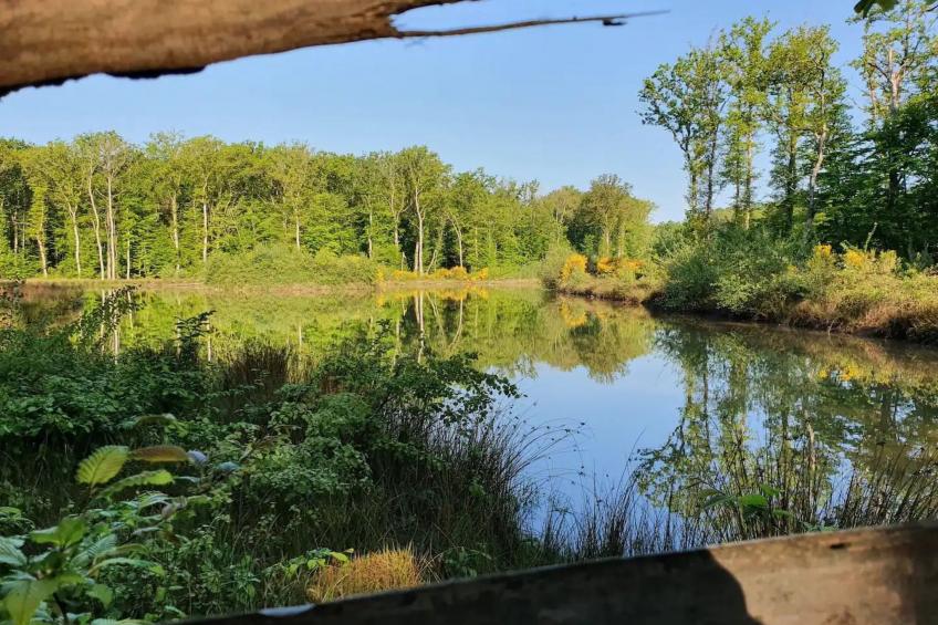 Landhaus mit eingezäuntem Garten - foto 24