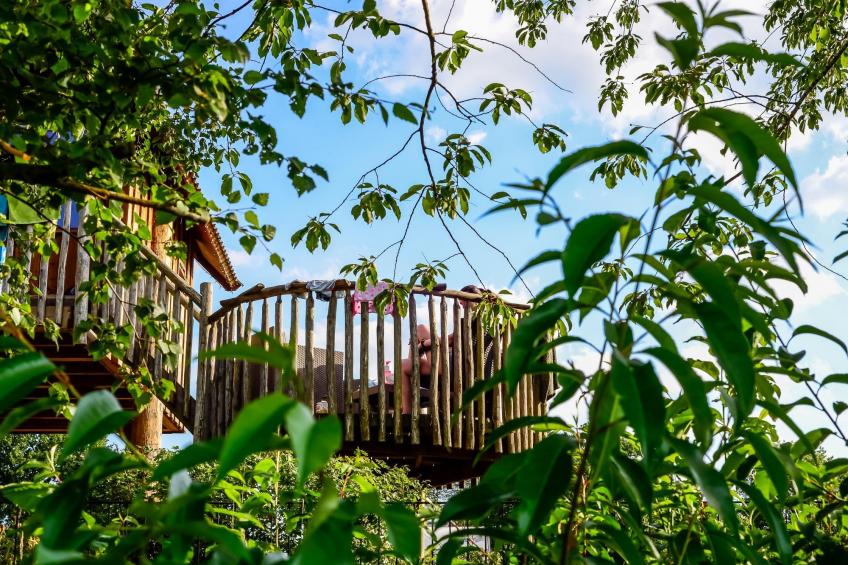 Tree house - foto 20