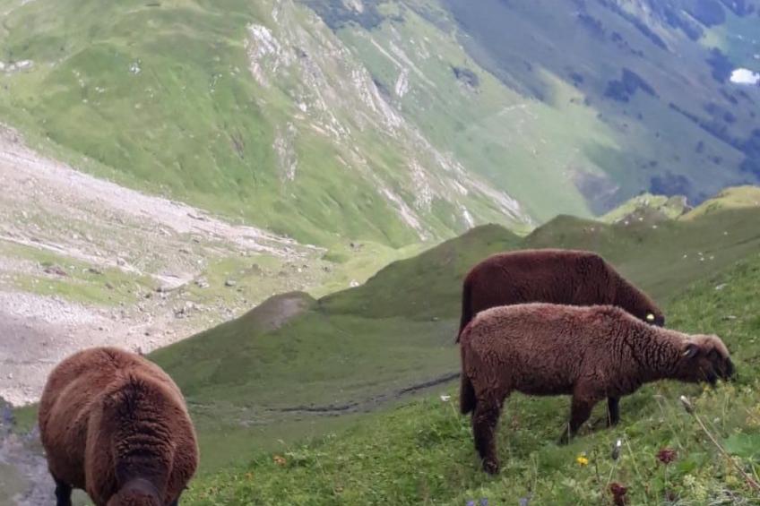 Ferienwohnung - foto 24
