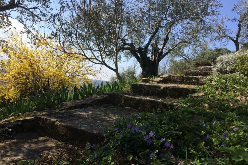 Villa Bella - Two Bedroom House - foto 38