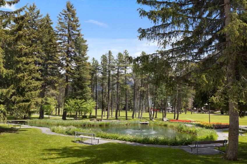 Allod-Park - foto 24