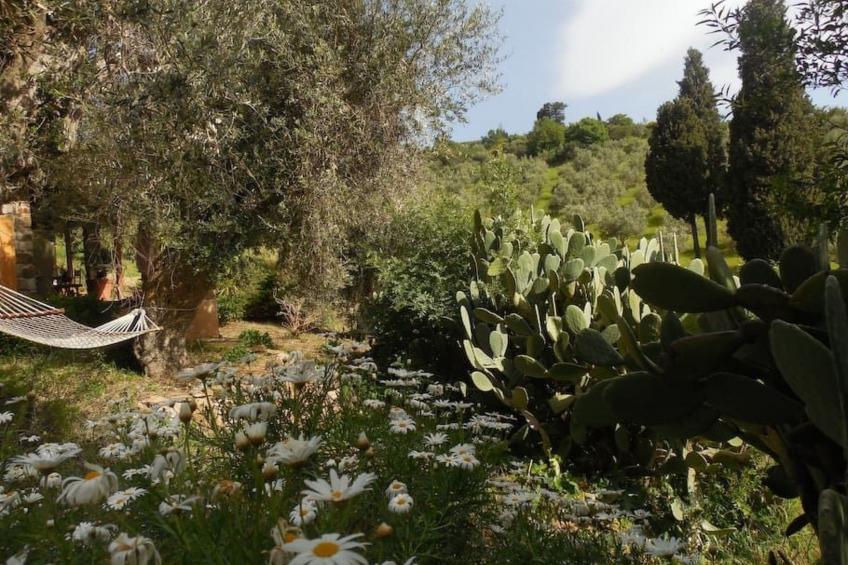 Behagliches Ferienhaus mit Garten inmitten eines - foto 17