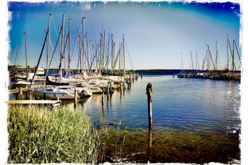 Landlust pur 1 - foto 25