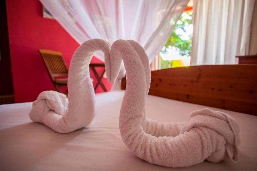 Helle Ferienwohnung mit gemütlicher Hängematte - foto 2