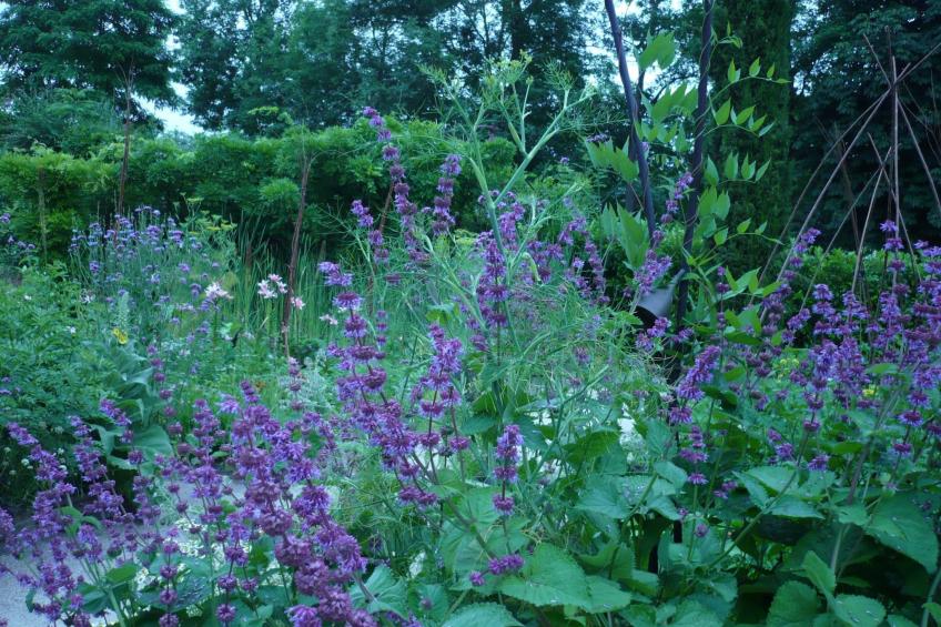 Fachwerkhaus "gitealienor perigord" - foto 39