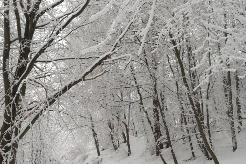 mit Terrasse - foto 11