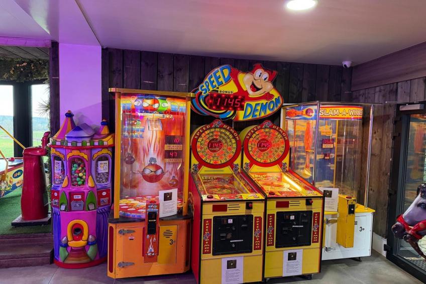 La Maison des Fleurs - foto 36