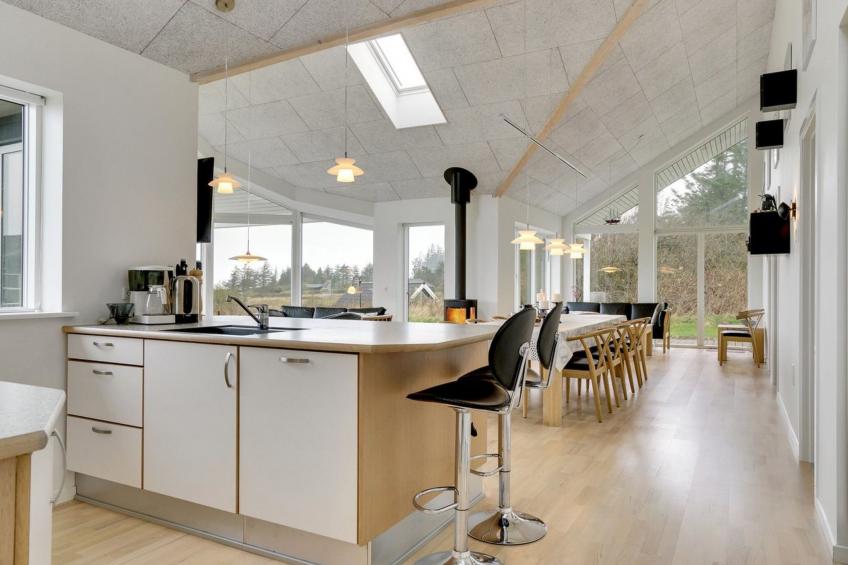 "Swarthofthi" - 1.5km from the sea in NW Jutland - foto 16