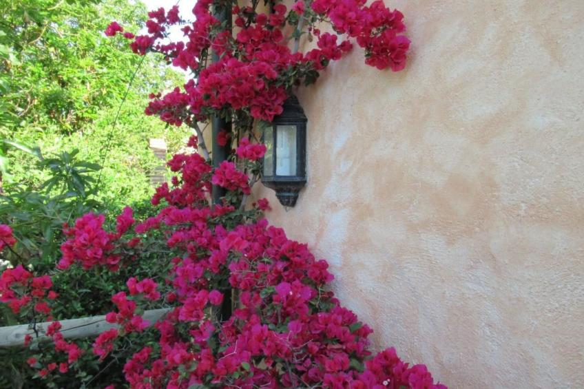 Gemütliches Ferienhaus in Tíjola mit Grill, Garten und Terrasse - foto 2