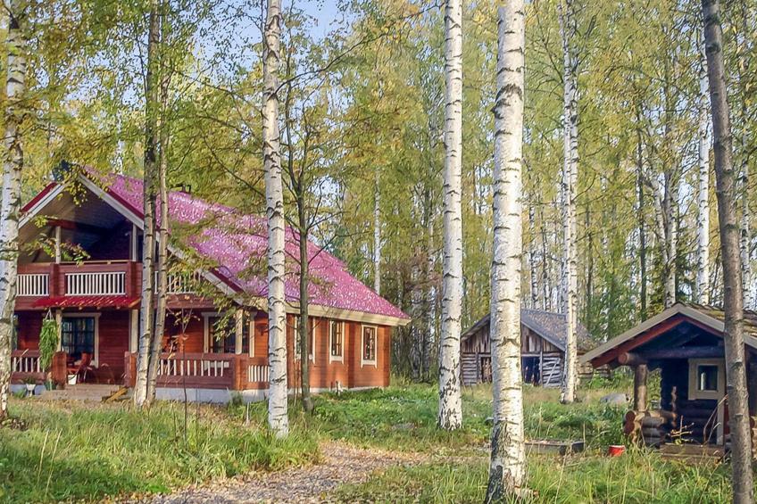 Niinimökki - foto 4