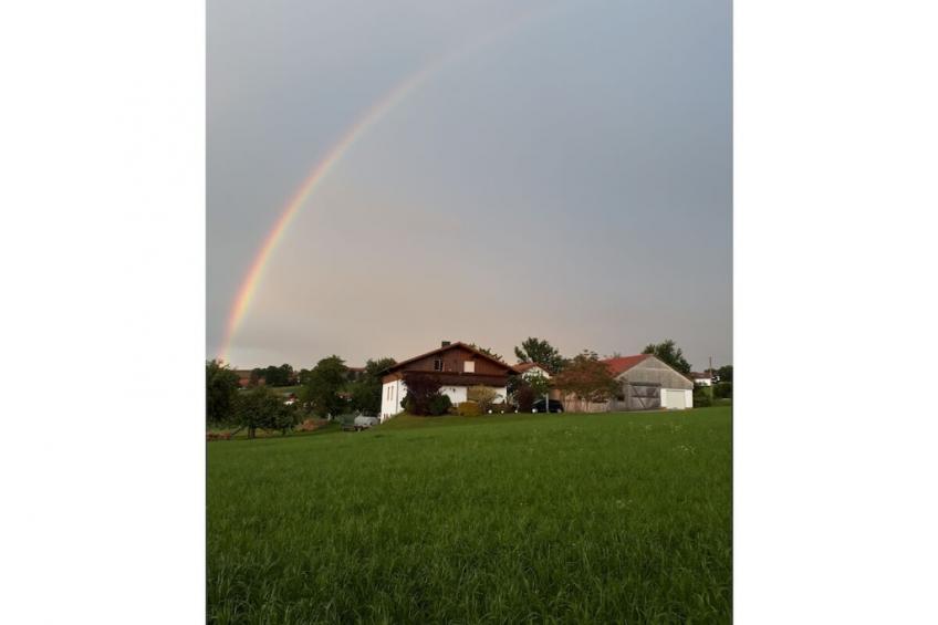 3831 - foto 4