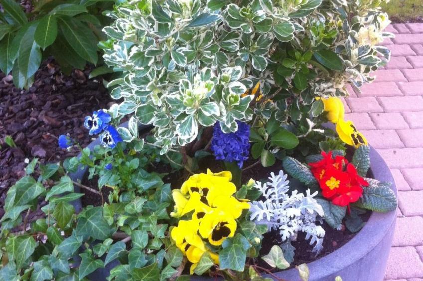 Apartment Le Jardin mit Privatparkplatz - foto 42