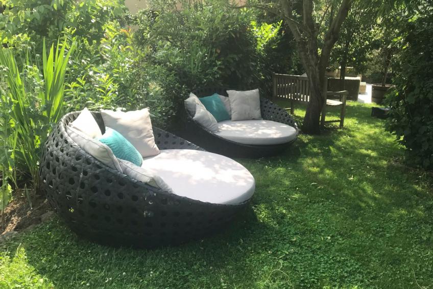 Olive Tree - foto 28