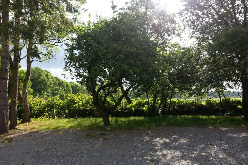 Wohnstudio für maximal vier Personen - foto 13