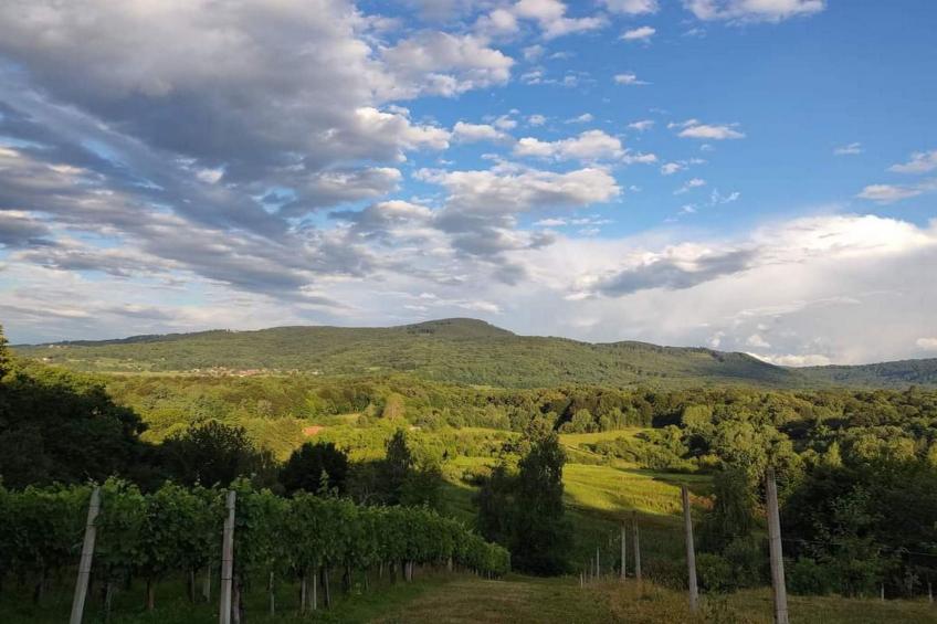 Golden Horizon Holiday Home with Terrace and Garden - One Bedroom Holiday Home with Terrace and Garden - foto 47