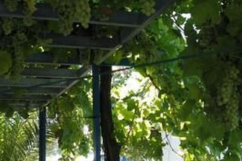 Castle View Haraki, ground floor ap4 - foto 9