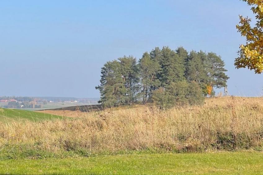 Vogelecke - abseits des Trubels und der Hektik - foto 22