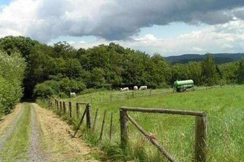 FeWo Haus Unkelbach - foto 20