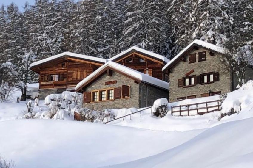 Tiny House facing the Alps - Ski in and out - foto 16