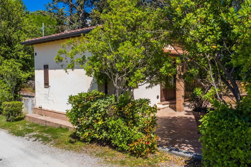 Azienda Agricola Cameli (CET120) - foto 18